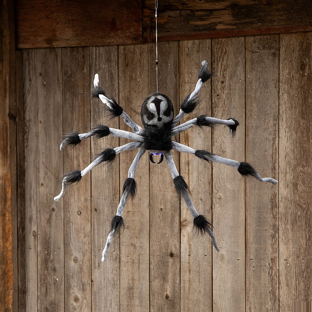 31.5" Gray & Black Hairy Floating Spider Halloween Decoration